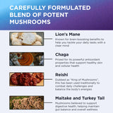 Melena-de-león orgánico origen EE. UU. DR. EMIL NUTRITION