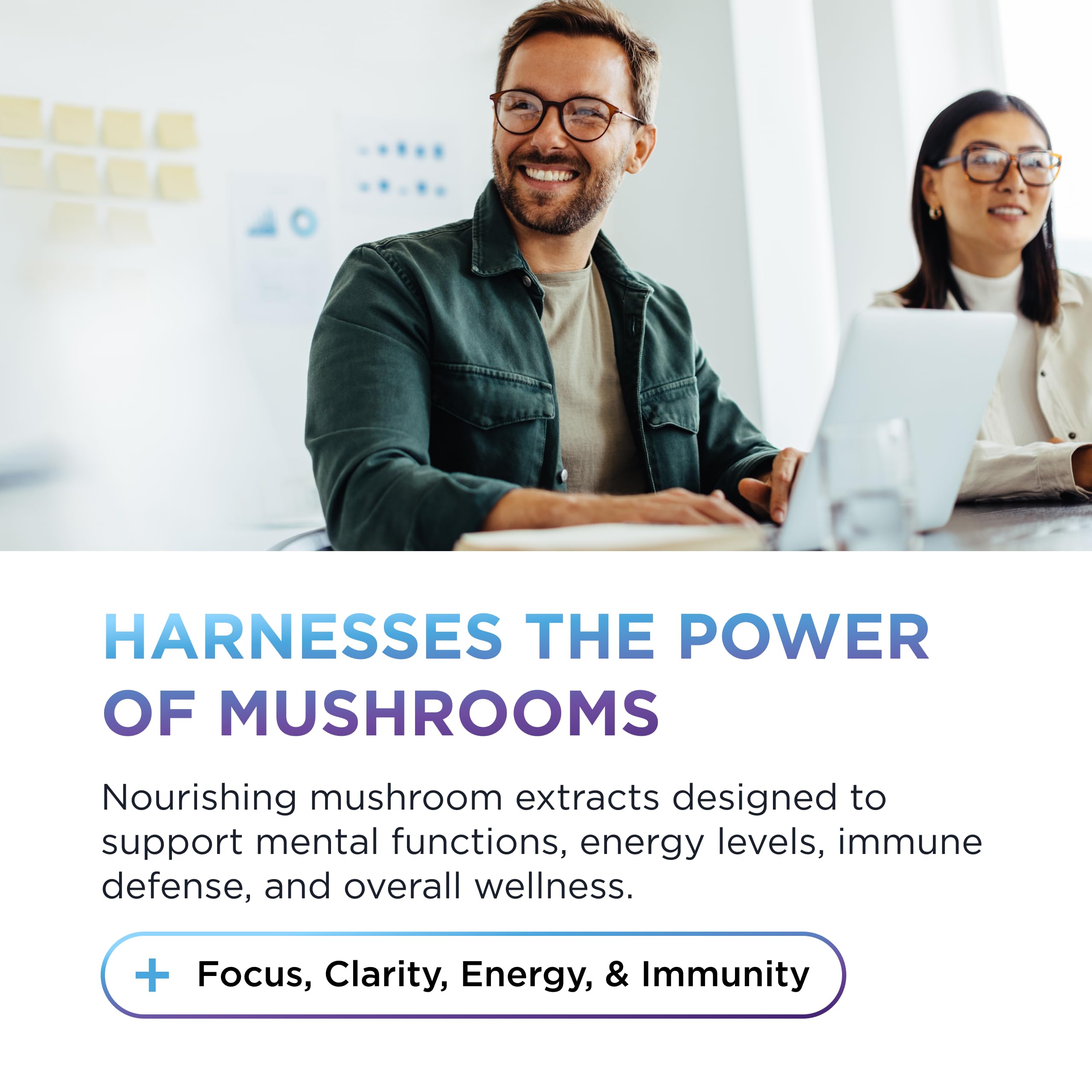 Mezcla de hongos chaga maitake reishi cola-de-pavo DR. EMIL NUTRITION