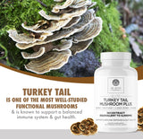 DR EMIL NUTRITION Hongo Cola de Pavo, mezcla de hongos en frasco para enfoque y energía.