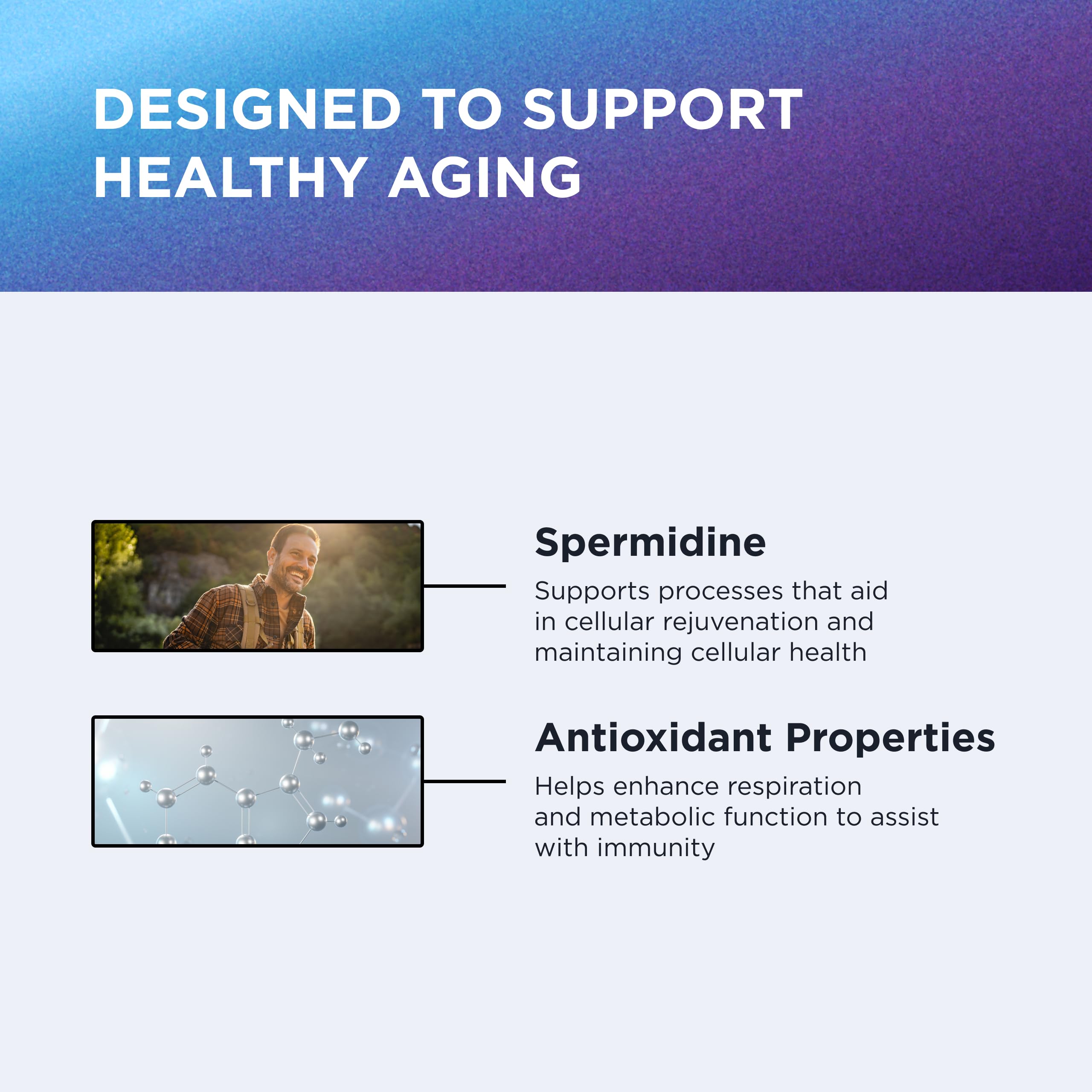 Dr. Emil Nutrition Spermidine 5mg – close-up de ingredientes: 3HCl y tiamina.