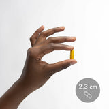 Dr. Mercola Curcumin Advanced, tecnología MicroActive, liberación controlada para comodidad diaria.