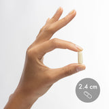 Cápsulas de 1000 mg por porción para energía potencial.
