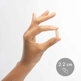 Dr. Mercola Sin antibióticos ni hormonas, fuente natural.