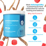 DR. MORITZ Ashwagandha Gummies sabor fresa, experiencia sensorial para calma.