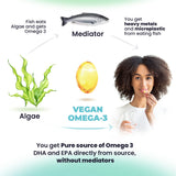 DR. MORITZ Omega3 de alga, mejora cognitiva y concentración para tareas.