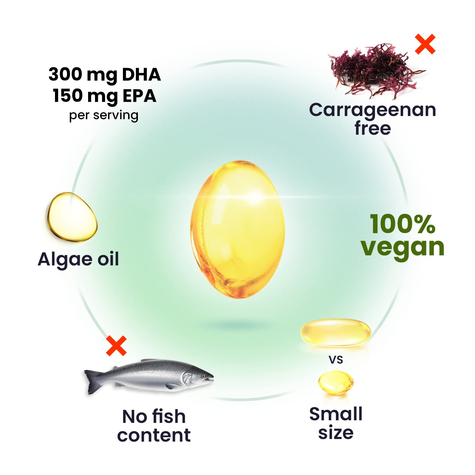 DR. MORITZ Omega3 de alga, enfoque en corazón saludable para el día a día.