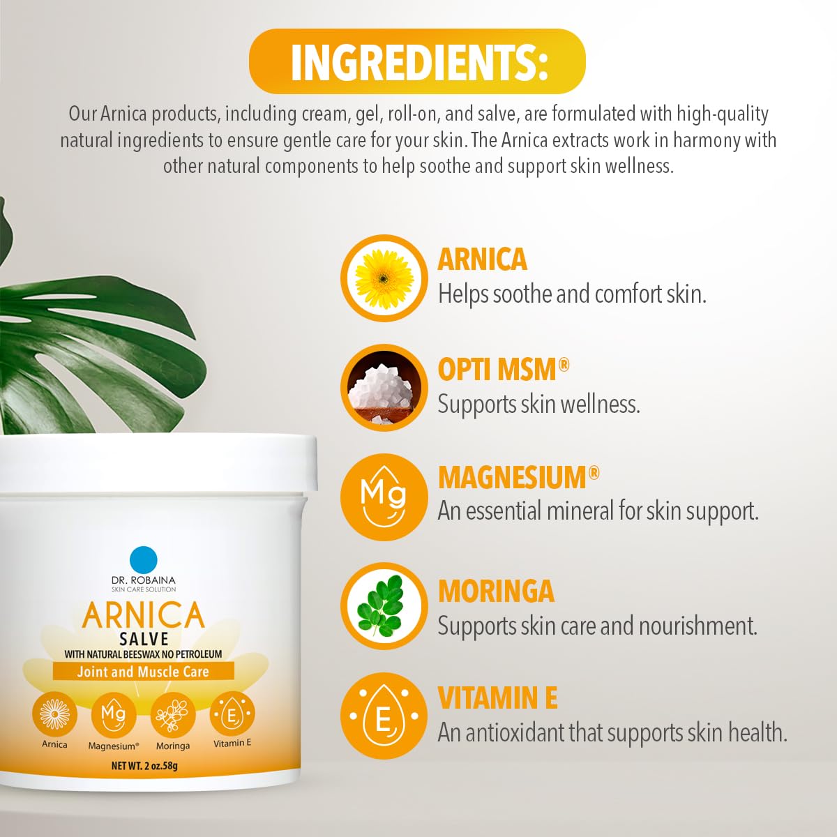 Dr. Robaina Arnica Salve; envase de 2 oz práctico en cualquier botiquín.