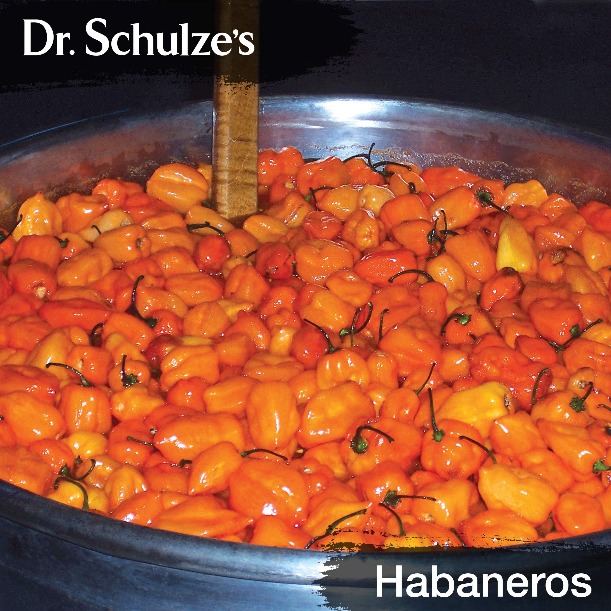 Dr. Schulze's Brain Formula: uso recomendado con jugo para concentración