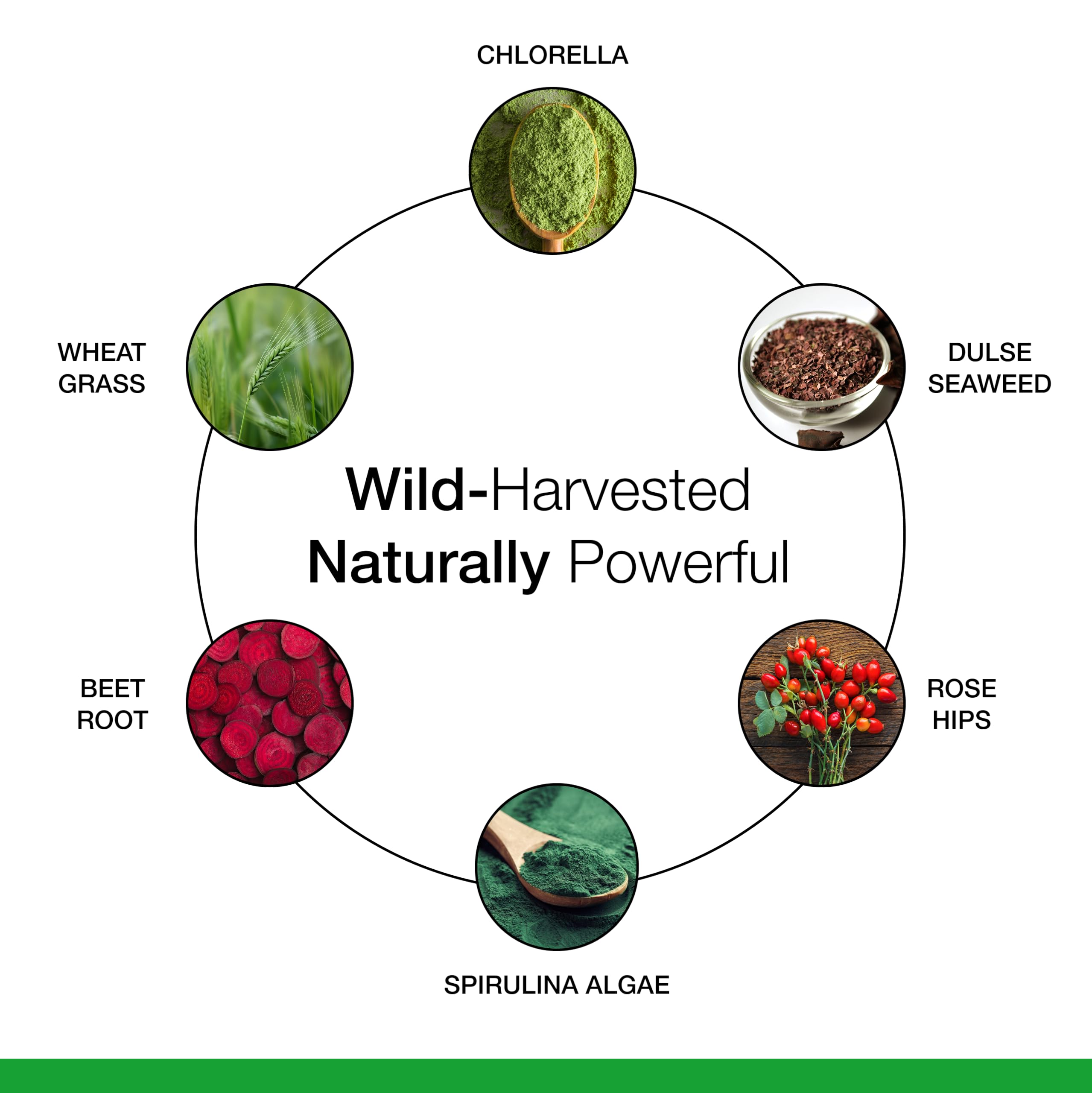 Dr. Schulze's SuperFood Plus: ingredientes silvestres, pureza vegana