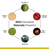 Dr. Schulze's SuperProtein Plus, lista de ingredientes veganos, opción limpia para dietas sin gluten.