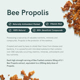Dr Sosnowski's Bee Fuelled: Royal Jelly como ingrediente clave.