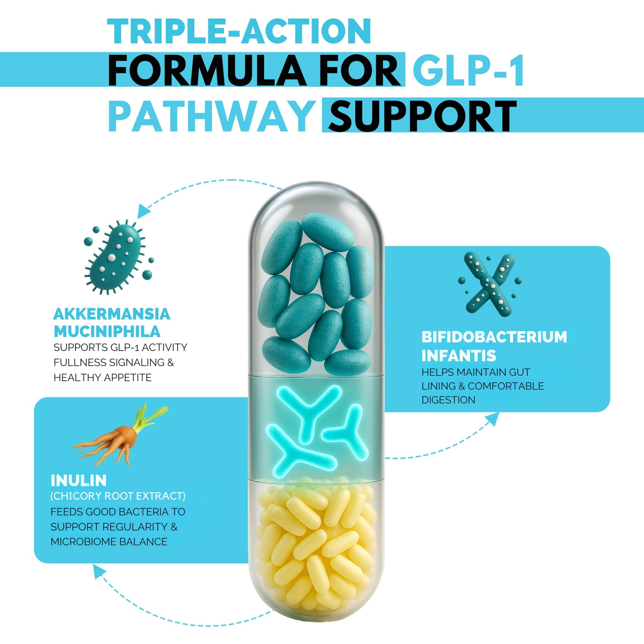 Cápsulas probióticas DR VITAMIN SOLUTIONS para apoyar señales de saciedad y apetito.