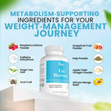 DR VITAMIN SOLUTIONS Fat Burner — botella trasera, información de uso y seguridad.