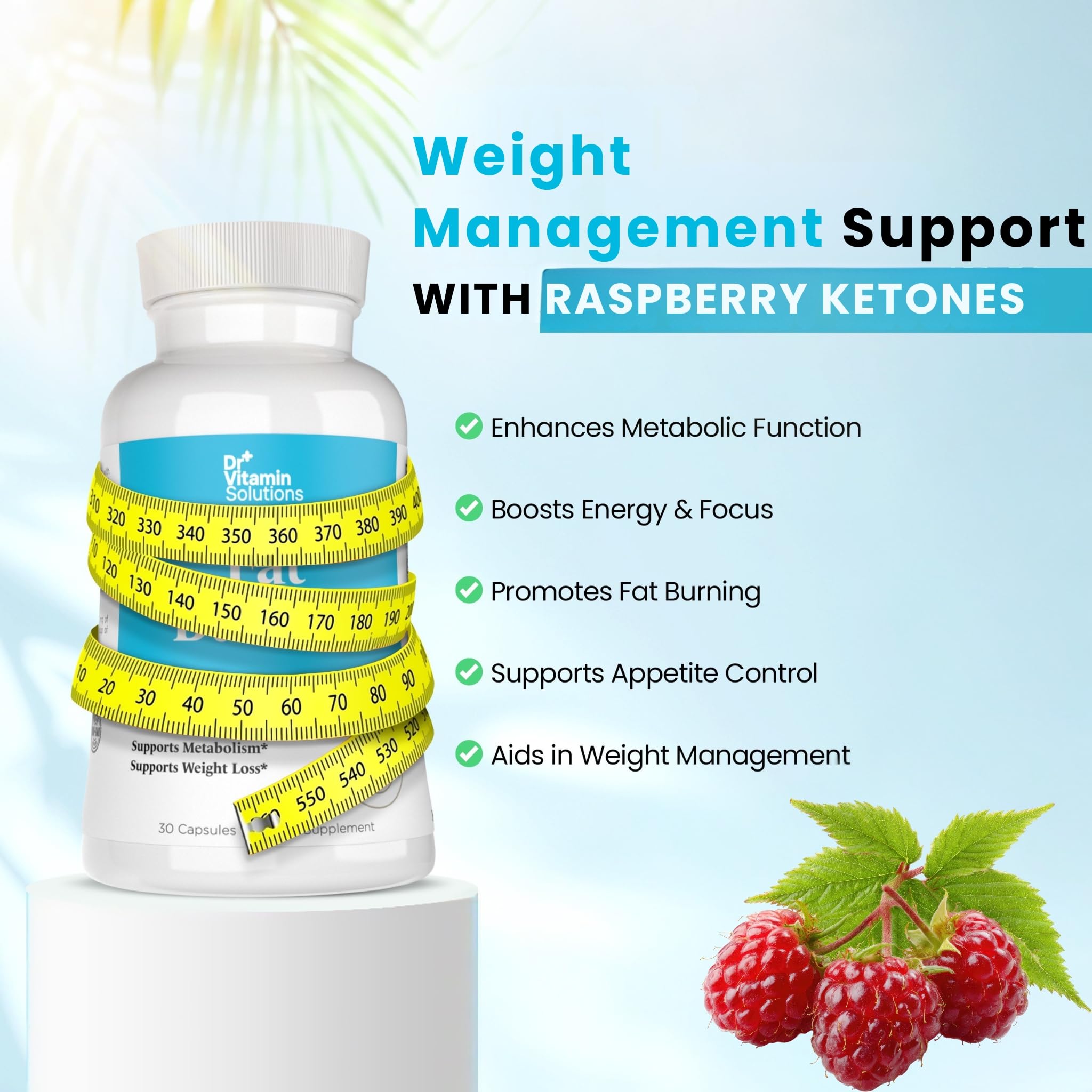 DR VITAMIN SOLUTIONS Fat Burner — ingredientes clave, incluida frambuesa y té verde.