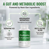 DR VITAMIN SOLUTIONS Prebióticos Inulina que alimentan bacterias beneficiosas
