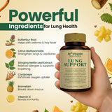 DR VITAMIN SOLUTIONS Quercetina: defensa natural de las vías respiratorias