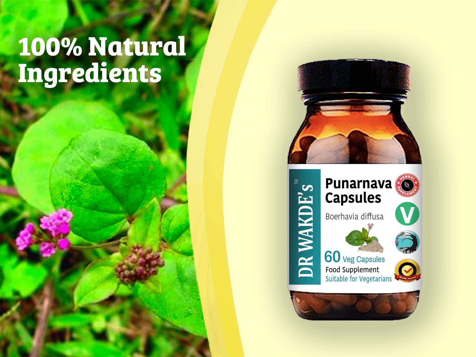 DR WAKDE'S Punarnava: preparación para té aromático.