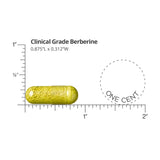Etiqueta frontal de Berberina Dr. Whitaker, dosis diaria de 1500 mg
