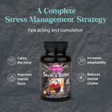 Dragon Herbs fórmula herbal para gestión del estrés y claridad mental.