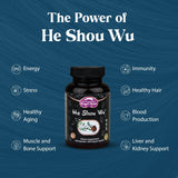 Dragon Herbs He Shou Wu, cápsulas de 500 mg para uso diario seguro