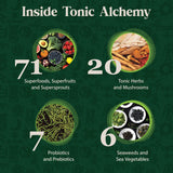 Dragon Herbs Tonic Alchemy: probióticos y hongos para salud digestiva