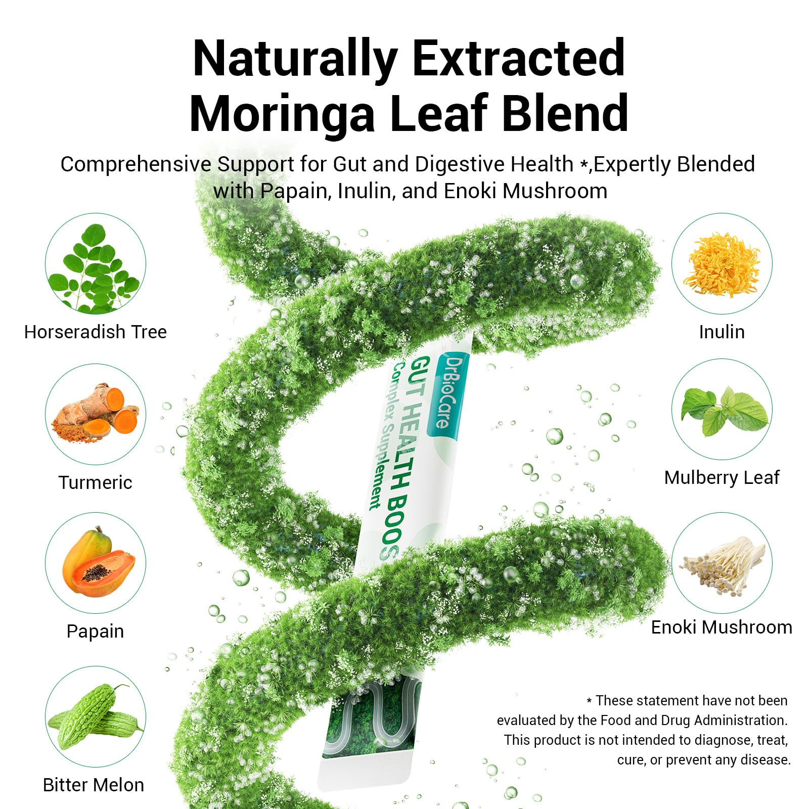 DrBioCare Moringa hojas: extracto visible para aporte vitamínico diario