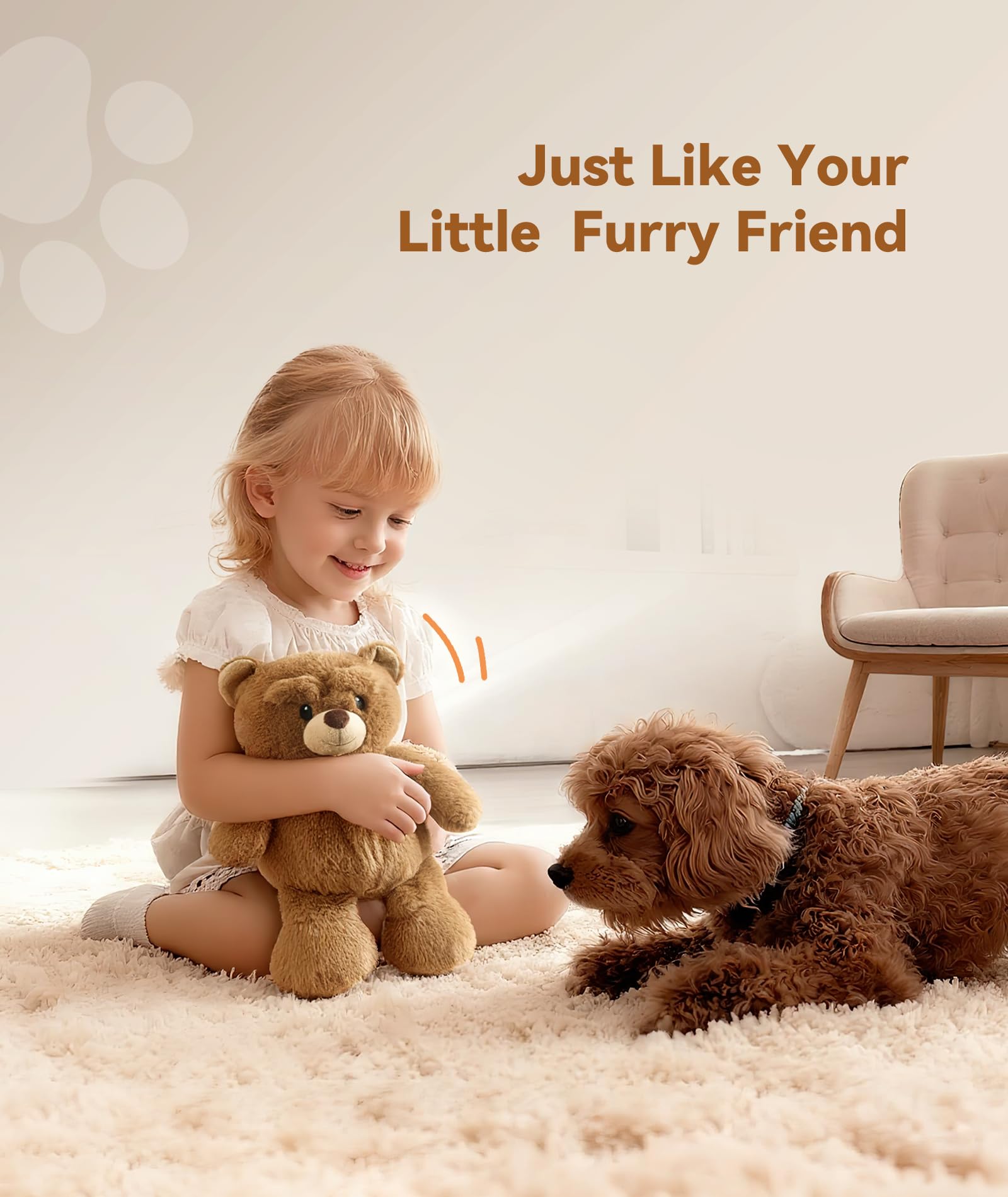 Dreamegg oso incluye certificado de adopción para personalizar.