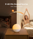Dreamegg Sunrise 2 modo Favoritos para acceso rápido a configuraciones.
