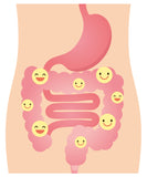 Caja interna de DrFormulas Nexabiotic destacando la presentación de 60 cápsulas.