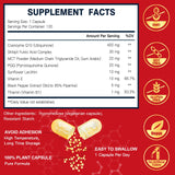 DRFOSTER CoQ10 400mg, cápsulas veganas: apoyo potencial a la función mitocondrial