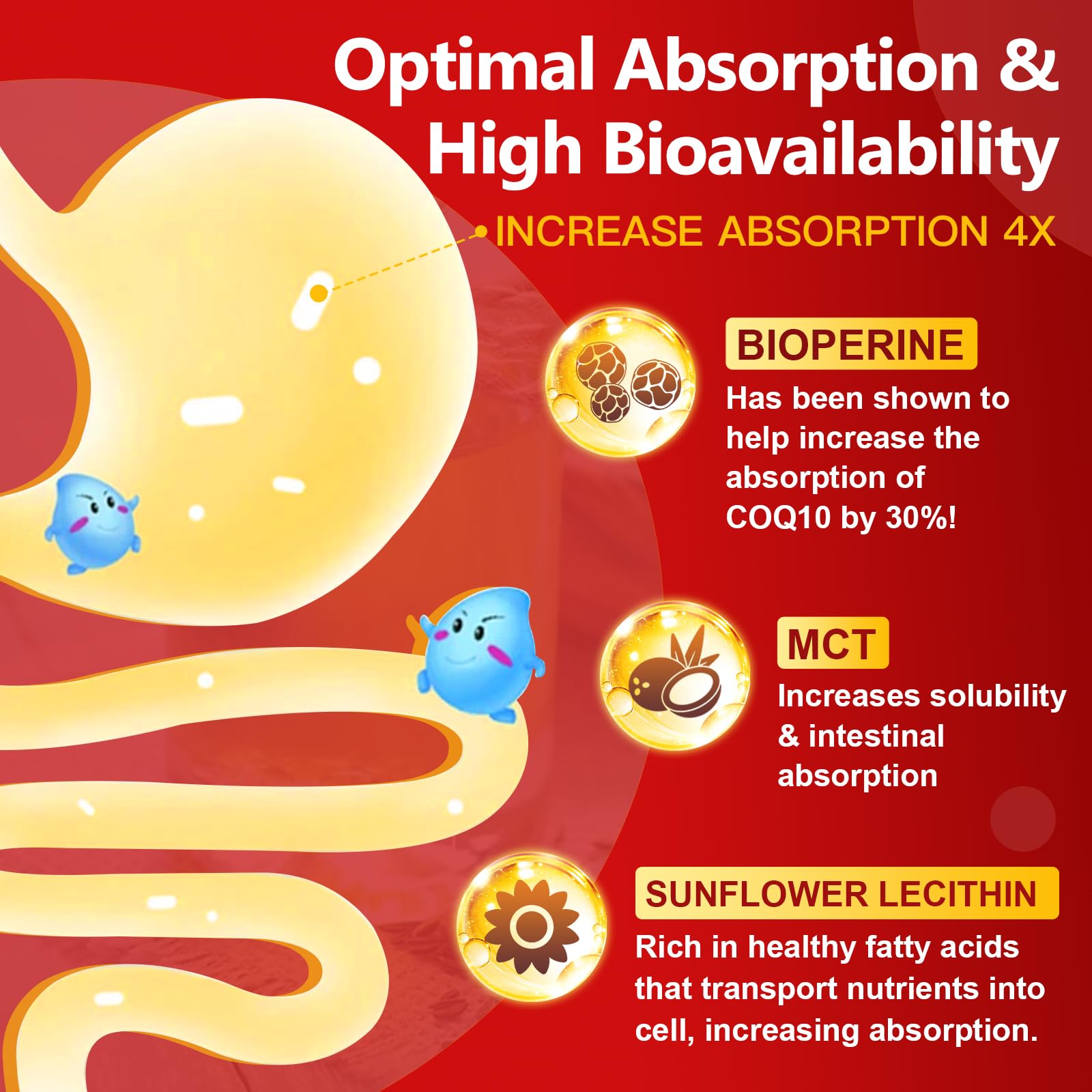 DRFOSTER CoQ10 400mg, ingredientes clave: beneficios posibles