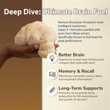 DRFOSTER Lion's Mane, primer plano de cápsula: pureza de cuerpos frutíferos.
