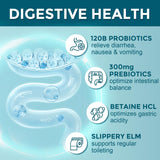 DRFOSTER prebióticos para nutrir la flora intestinal y equilibrio digestivo.