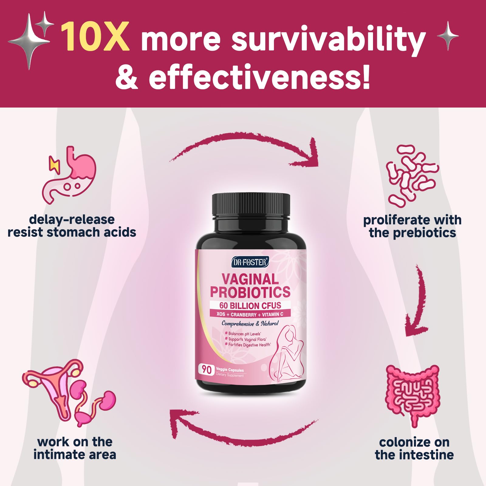 DRFOSTER Probióticos: prebiótico XOS para mayor supervivencia.
