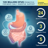 DRFOSTER probióticos, cápsula en primer plano, liberación intestinal sostenida