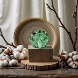 DUKIZA decoración interior cristal verde, añade brillo natural y estilo orgánico.