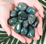 DUQGUHO ágata musgo, piedras pulidas para joyería y meditaciones.