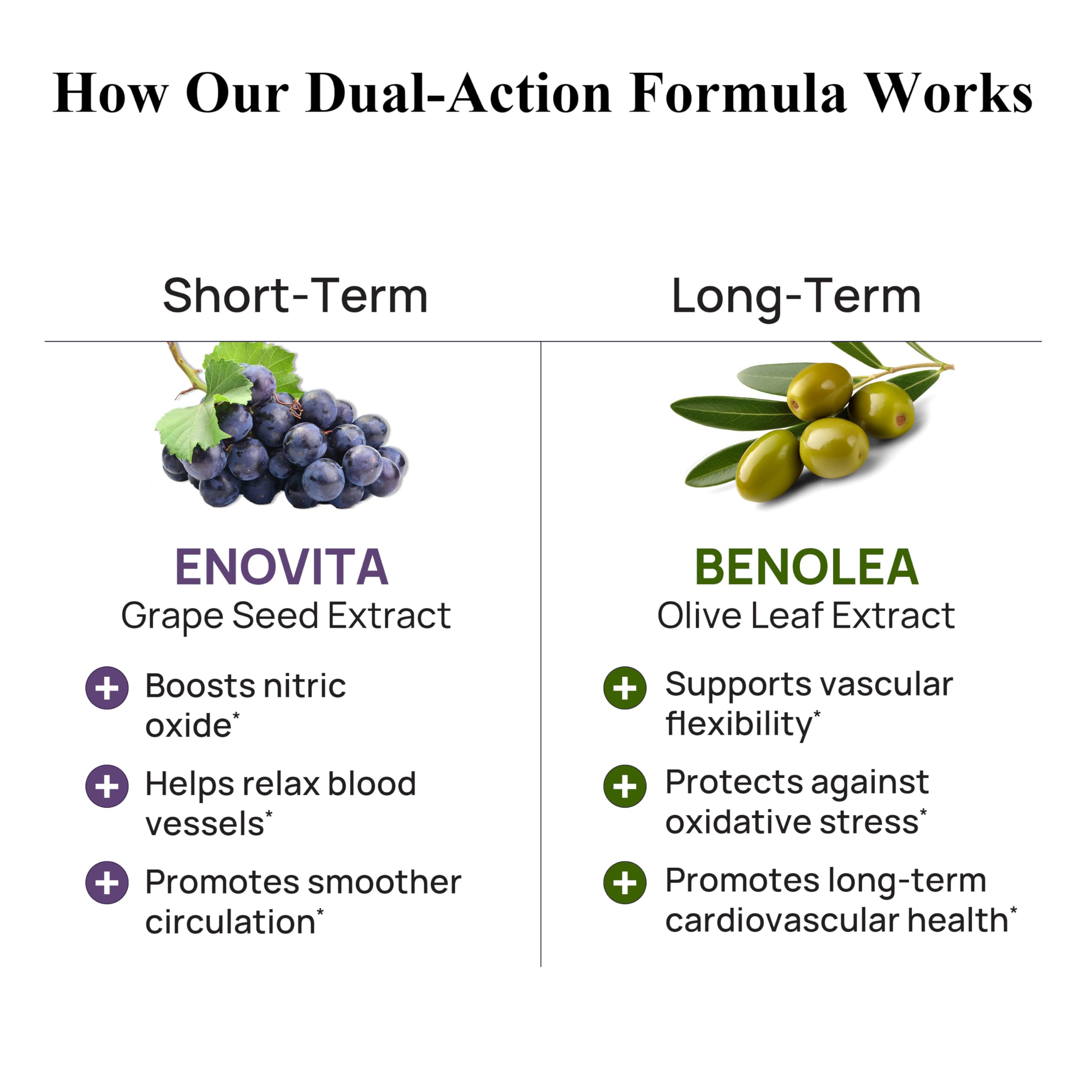 Durable Enovita extracto semilla de uva: OPCs para la salud circulatoria.