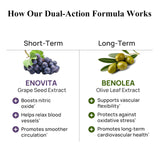 Durable Enovita extracto semilla de uva: OPCs para la salud circulatoria.