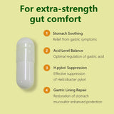 DUTYDiAG Helicobacter pylori Defense: Lactobacillus reuteri para equilibrio intestinal.