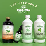Envase y caja de Dynamic Health clorofila líquida lista para compra