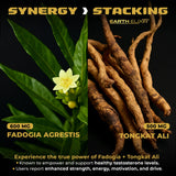 Earth Elixir Fadogia Agrestis y Tongkat Ali cápsulas para entrenamiento diario