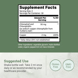 Earth Harmony Naturals Clorofila Líquida sabor menta, ideal para consumo fresco.
