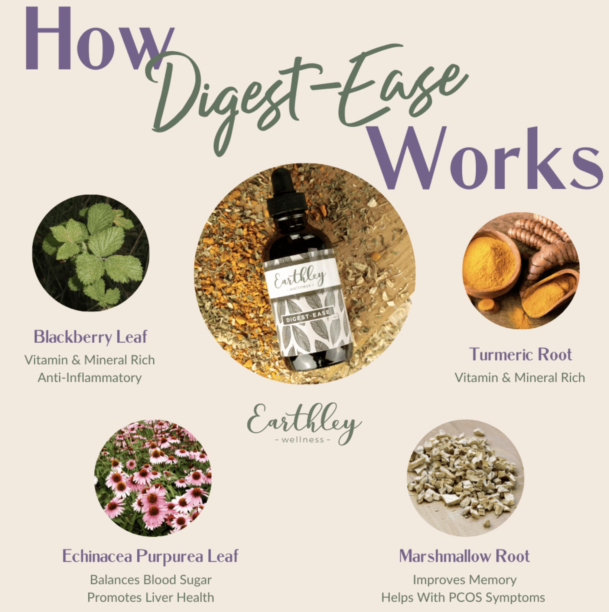 Earthley Wellness Digest Ease: gotero para aplicación fácil en malestares ocasionales
