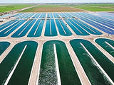 Earthrise espirulina formato 360 tabletas para uso prolongado.