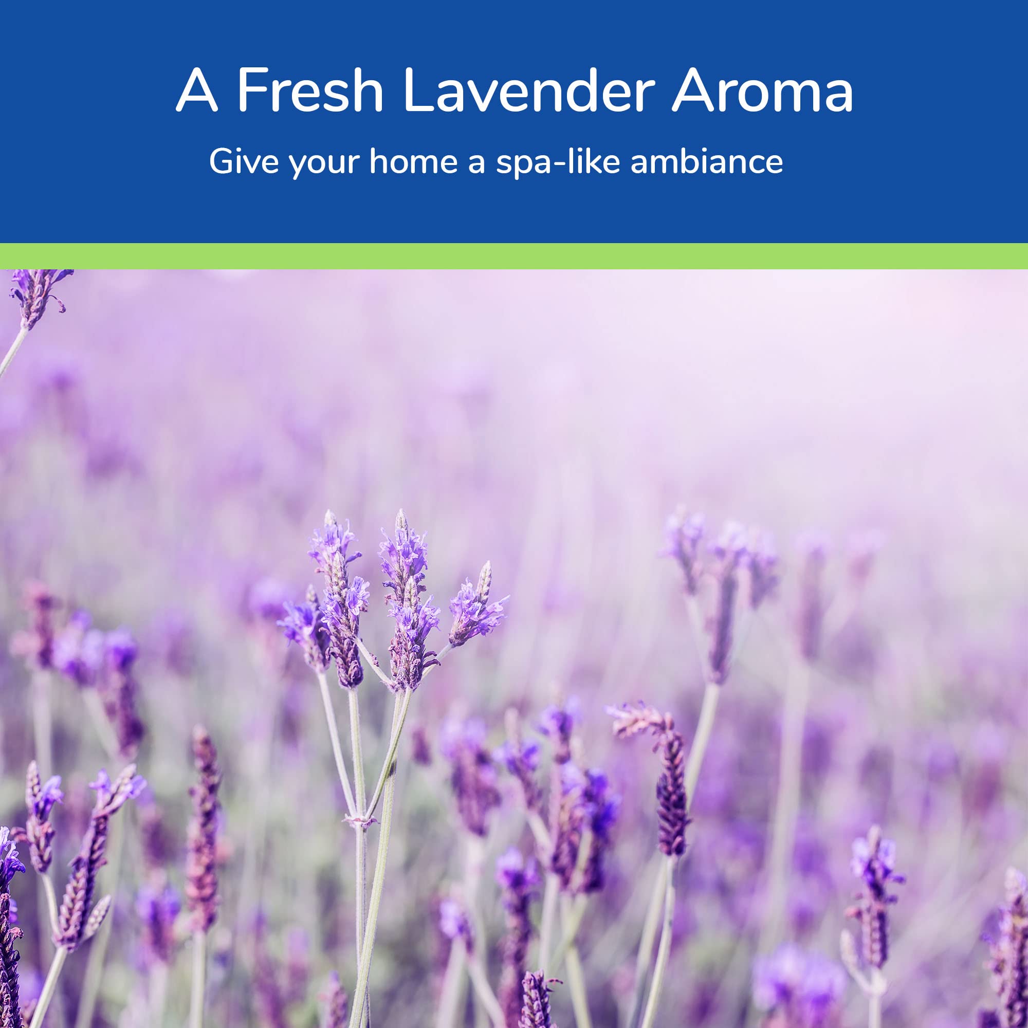 Earth's Care: aroma suave de lavanda para relajación diaria.
