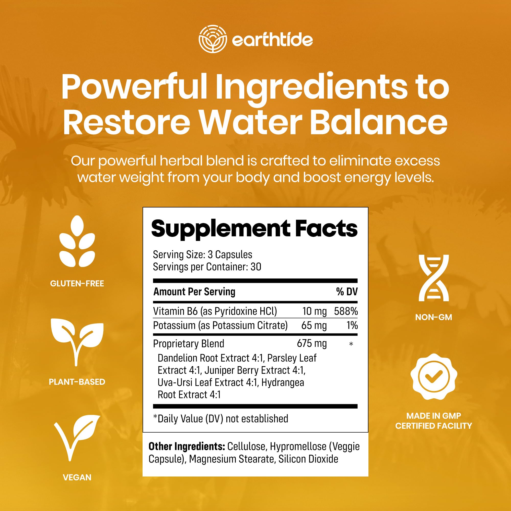 Earthtide Aquavane, etiqueta-clara: identifica ingredientes y beneficios clave