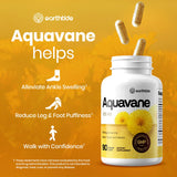 Earthtide Aquavane, ingredientes-clave: enfoque natural para apoyo de la diuresis