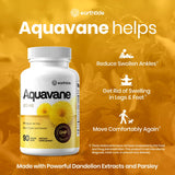 Earthtide Aquavane, uso-diario: complemento natural para sentirse más ligero