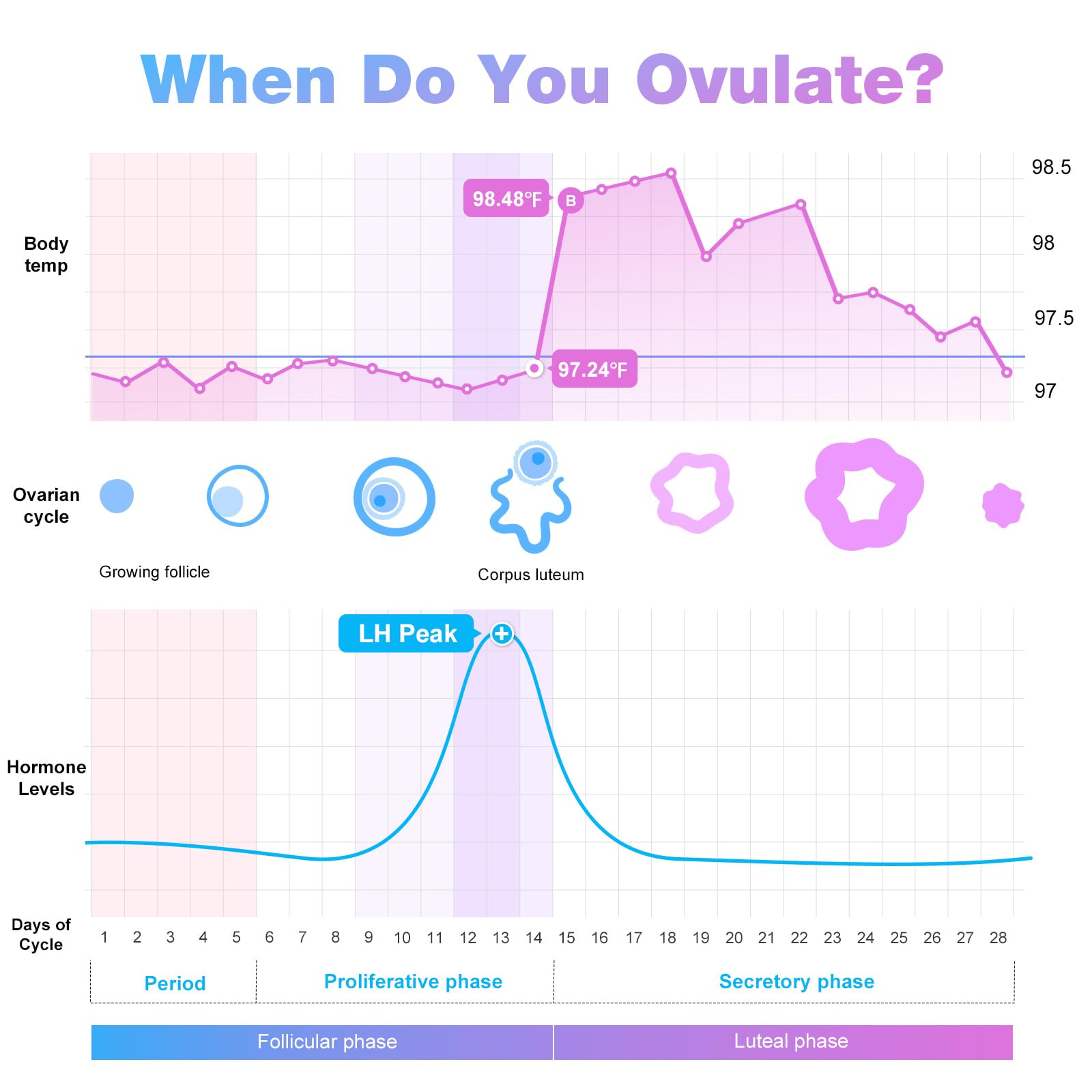 Easy@Home: tiras de ovulación con detección sensible de LH.